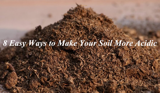 8 Easy Ways to Make Your Soil More Acidic: Nurturing the Acid-Loving Garden