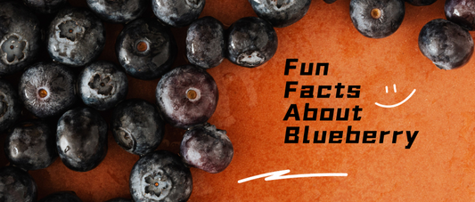 8 Fun Facts of Blueberries